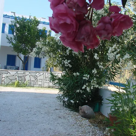 Hotel εvi Evan Galissas