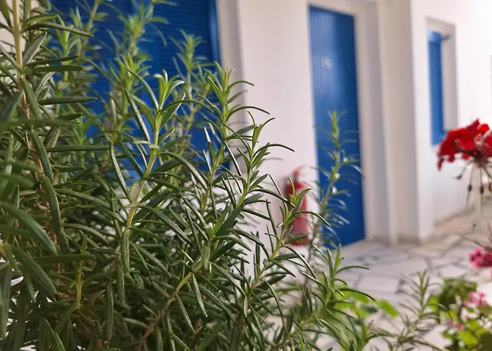 εvi Evan Γαλησσάς