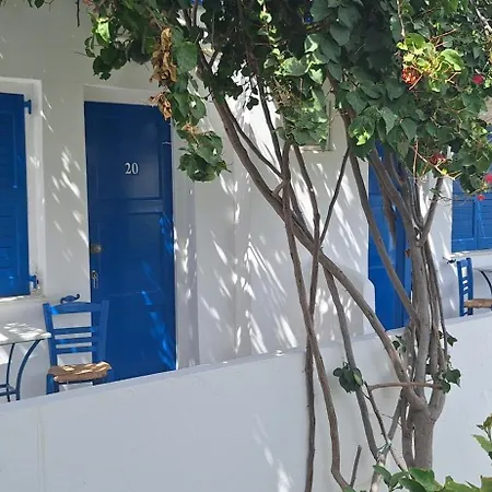 εvi Evan 갈리사스