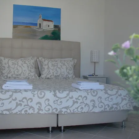 εvi Evan 갈리사스