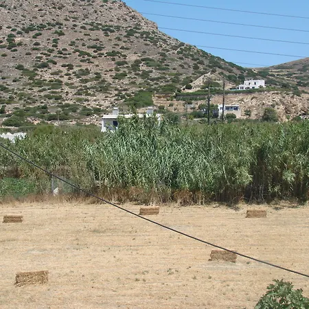 εvi Evan غاليساس