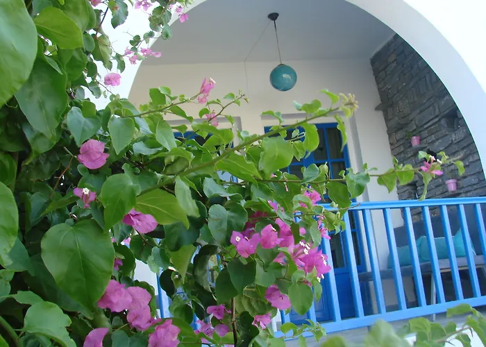 Hotel εvi Evan Galissas